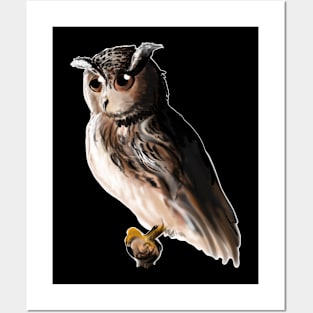 Digital owl drawing - nature inspired art and designs Posters and Art